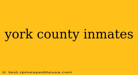 york county inmates